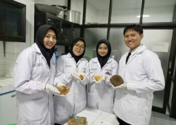 Innovative Remedy: UMM Students Make Low-Sugar Snack Bar to Tackle Childhood Diabetes Surge