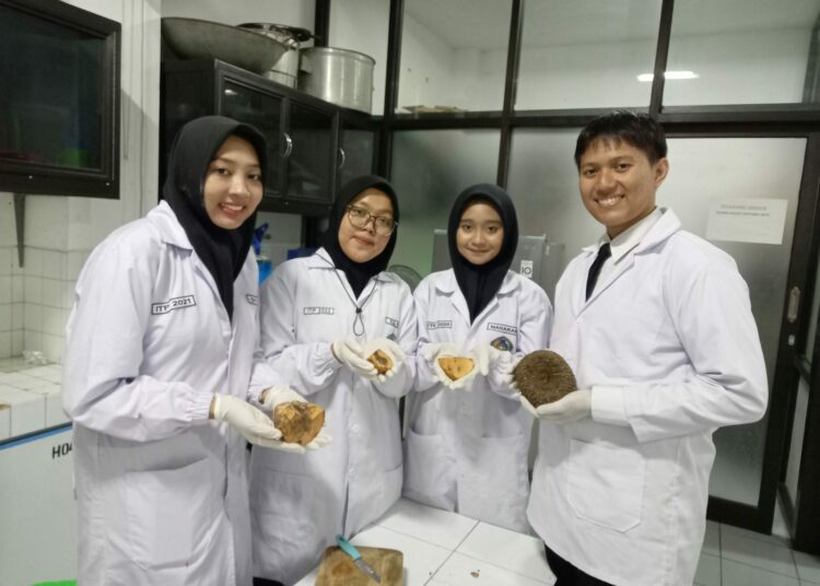 Innovative Remedy: UMM Students Make Low-Sugar Snack Bar to Tackle Childhood Diabetes Surge