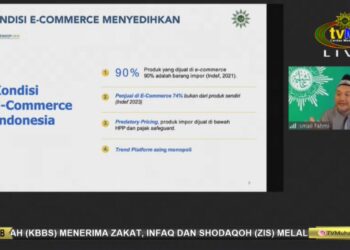 Indonesia’s Ascent in the Digital Economy: Challenges and Ambitions