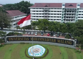 UMM Students Harness CDs to Create Solar Energy Solutions