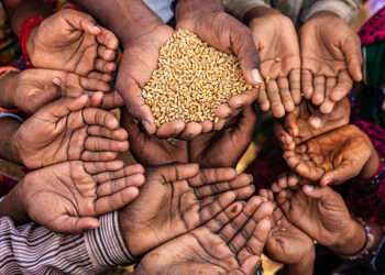 Muhammadiyah Seeks to Learn from Brazil’s Success in Tackling Hunger at G20 Summit