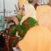 ‘Aisyiyah Reaffirms Women’s Strategic Role in Addressing the Climate Crisis and Disasters