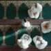 Is Guided Group Dhikr Permissible in Islam?