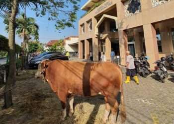 Nahar and Yudhohi: Both Mean Slaughtering, but the Slaughtering Techniques Are Different