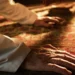 Different Forms of Worship Share the Same Prophetic Foundation, Muslims Must Not Judge One Another